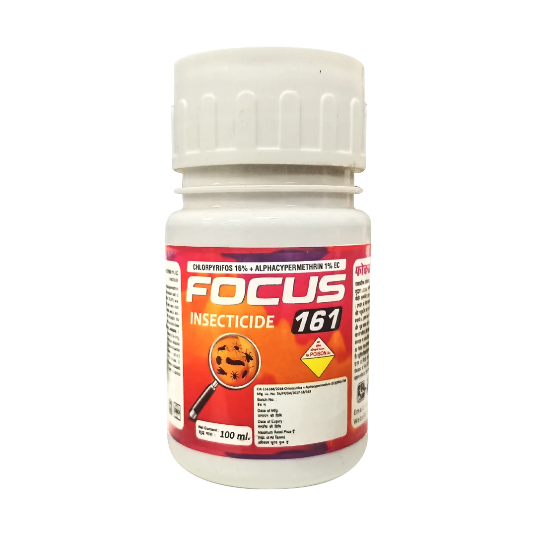 FOCUS-161 100ML